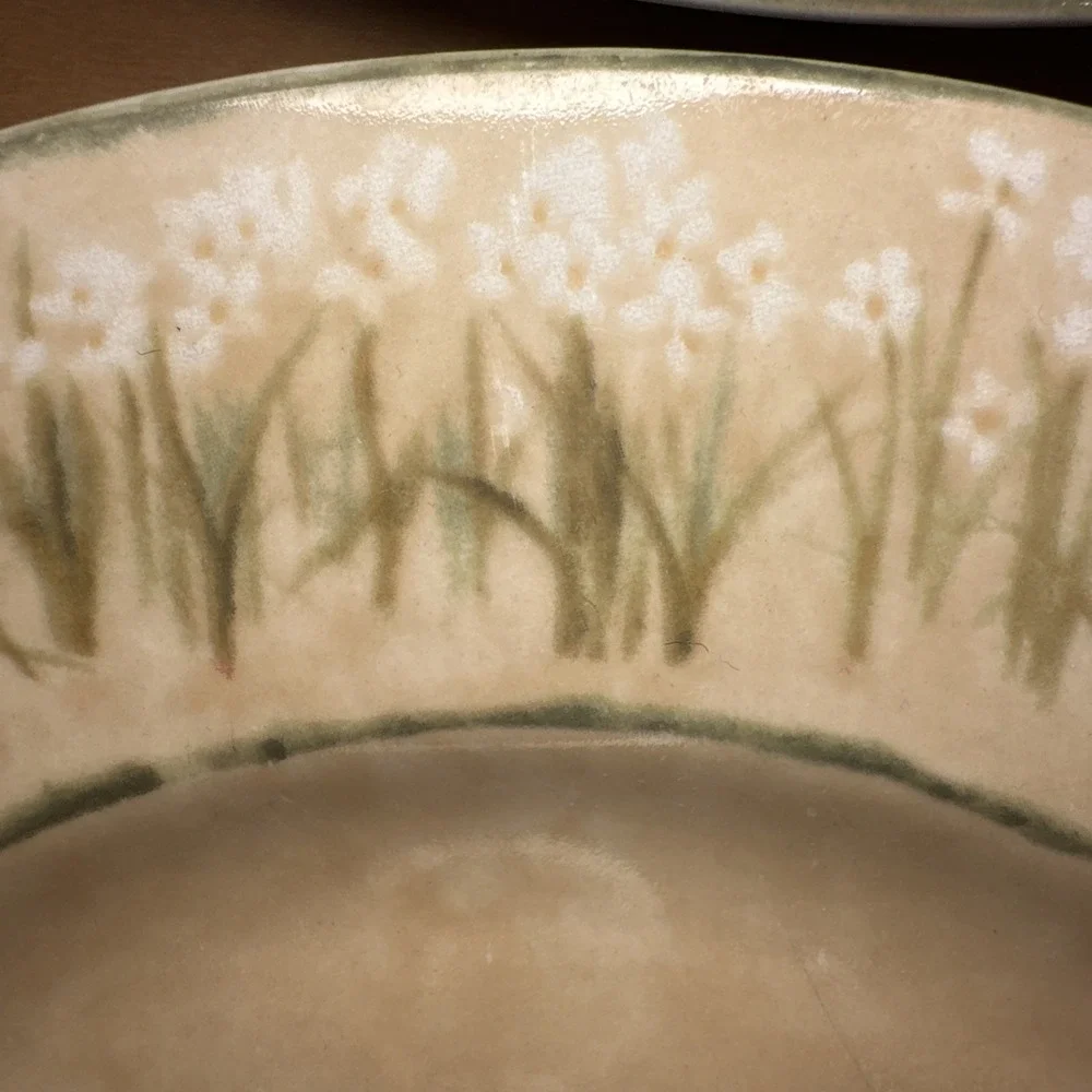 Cheri Blum for 222 Fifth (4) Narcissus Dinner Plates Stoneware‎  10.5